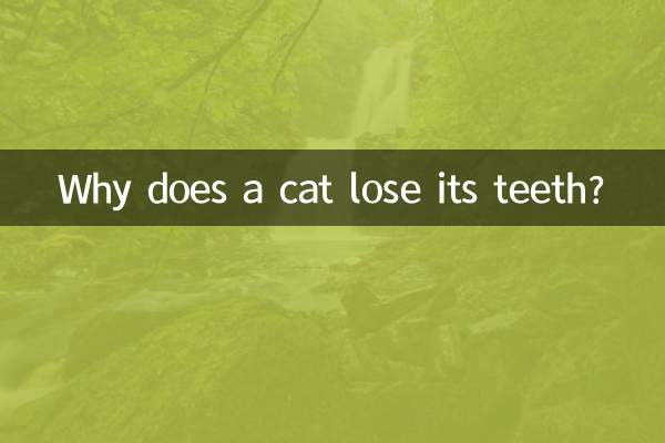 Por que um gato perde os dentes?