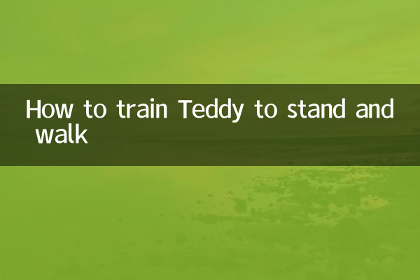 Comment apprendre à Teddy à se tenir debout et à marcher