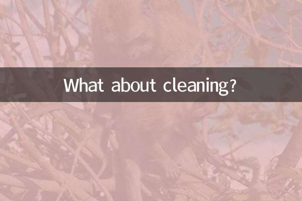 What about cleaning?