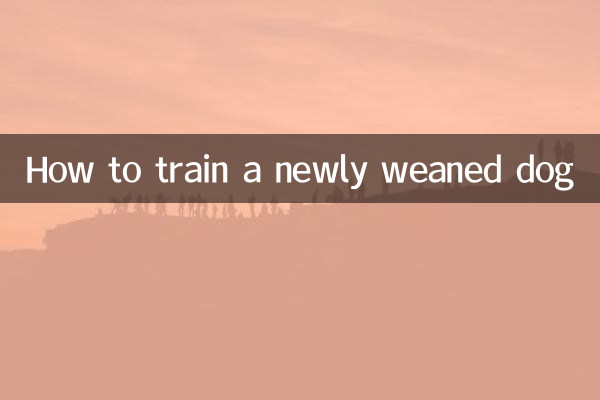 Как дрессировать только что отлученную от груди собаку