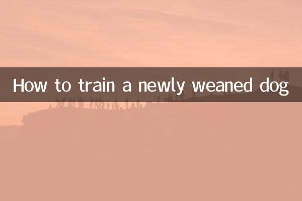 離乳したばかりの犬を訓練する方法