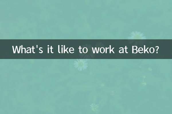 Bekoで働くのはどんな感じですか？