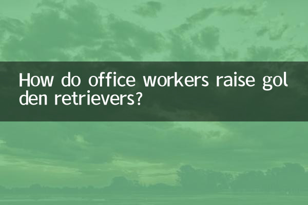 آفس ورکرز گولڈن ریٹریورز کو کس طرح اٹھاتے ہیں؟