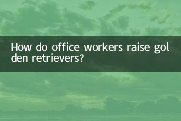 آفس ورکرز گولڈن ریٹریورز کو کس طرح اٹھاتے ہیں؟