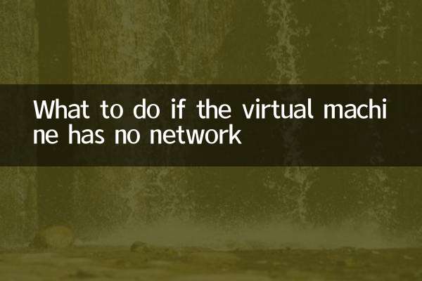 اگر ورچوئل مشین کا کوئی نیٹ ورک نہیں ہے تو کیا کریں