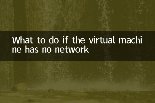 اگر ورچوئل مشین کا کوئی نیٹ ورک نہیں ہے تو کیا کریں