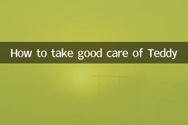 Wie man Teddy gut pflegt