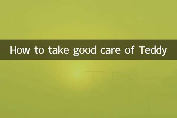 Wie man Teddy gut pflegt