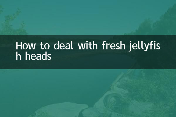 كيفية التعامل مع رؤوس قناديل البحر الطازجة