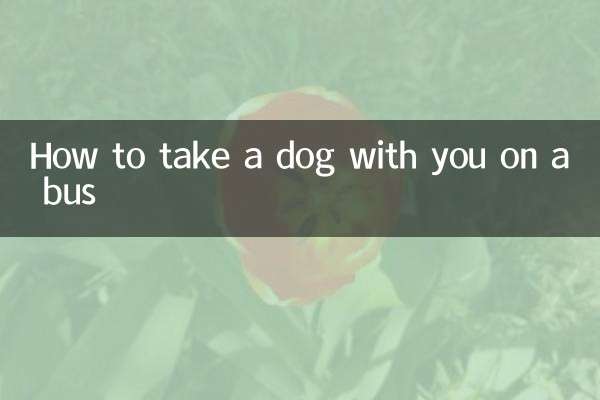 坐客車怎麼帶狗