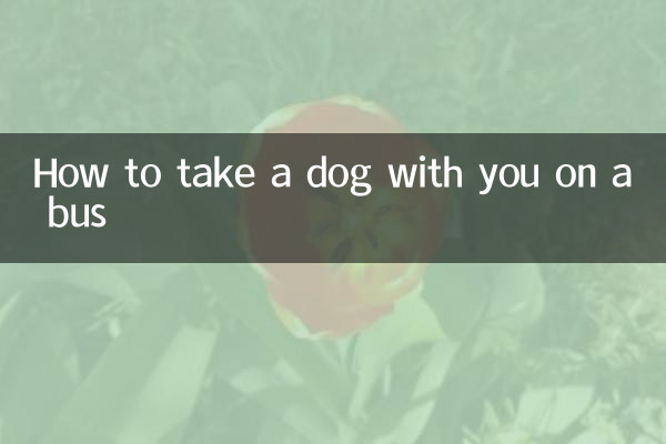 坐客車怎麼帶狗