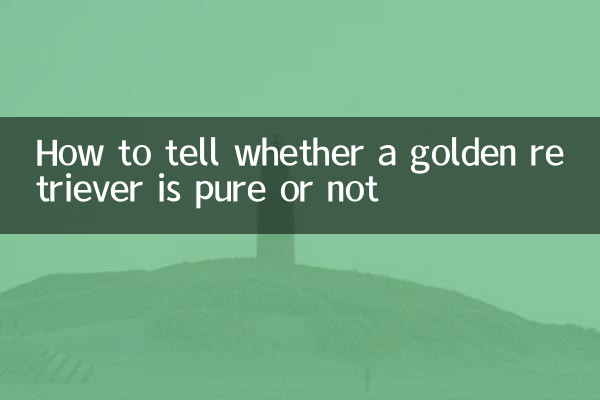 چگونه تشخیص دهیم که گلدن رتریور خالص است یا نه؟