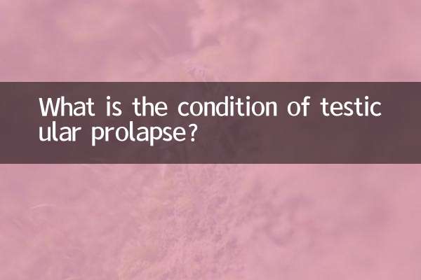 Qual è la condizione del prolasso testicolare?