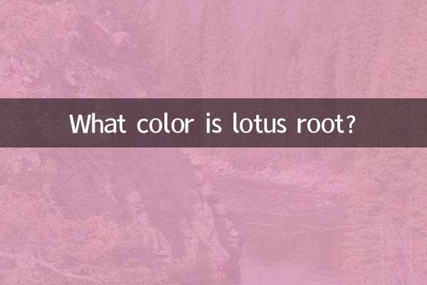 What color is lotus root?