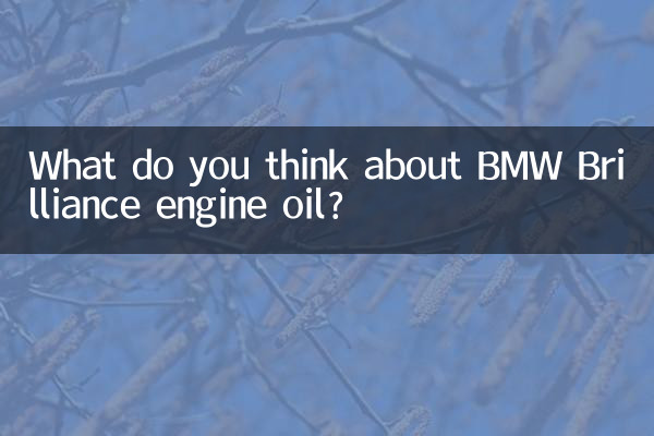 BMW ブリリアンス エンジン オイルについてどう思いますか?