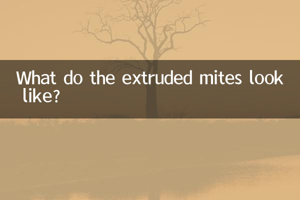 کنه های اکسترود شده چگونه به نظر می رسند؟