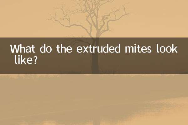 کنه های اکسترود شده چگونه به نظر می رسند؟