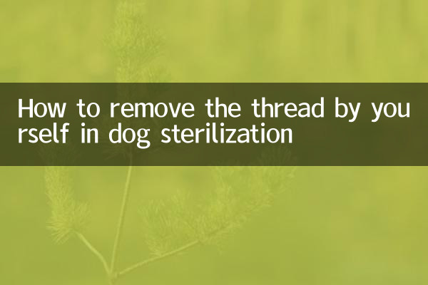 Como remover o fio sozinho na esterilização de cães