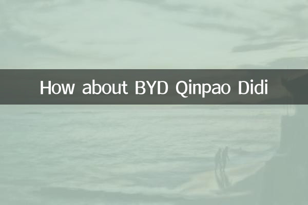 Que tal Byd Qinpao Didi
