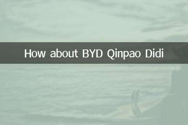 Que tal Byd Qinpao Didi