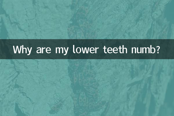 Por que meus dentes inferiores estão dormentes?
