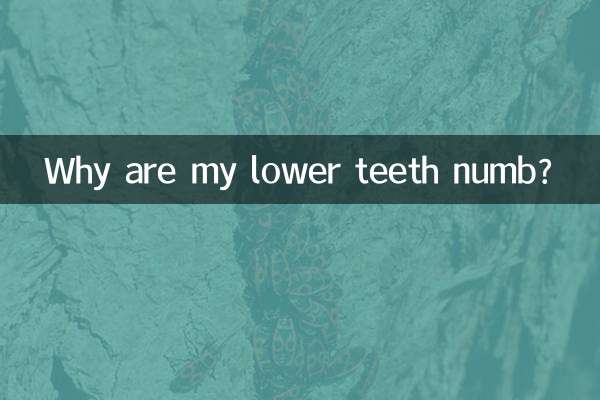Por que meus dentes inferiores estão dormentes?