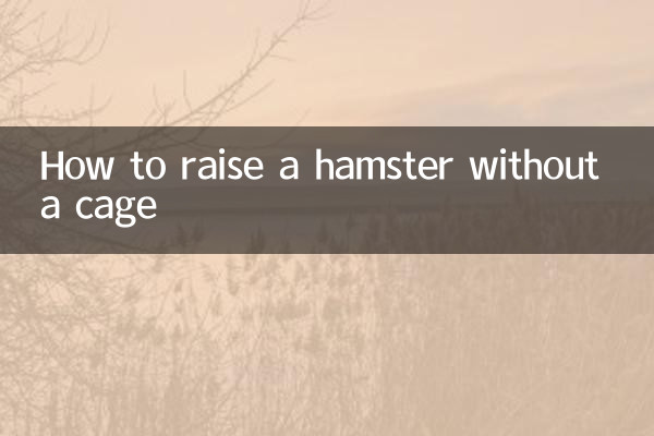 Comment élever un hamster sans cage