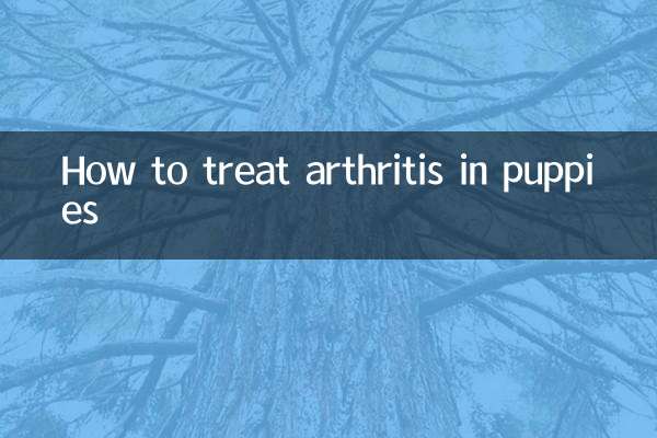 How to treat arthritis in puppies