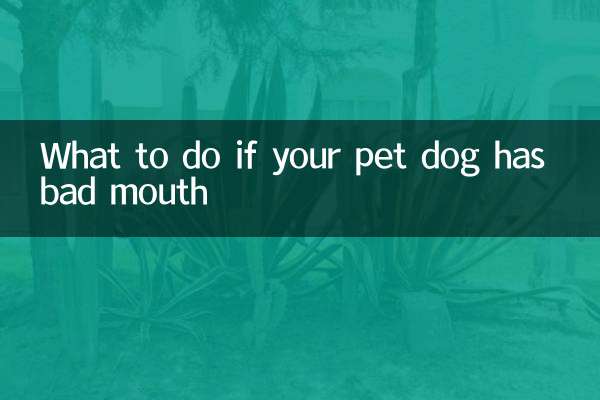 愛犬の口が悪い場合の対処法