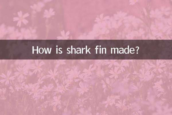 Wie wird eine Haifischflosse hergestellt?