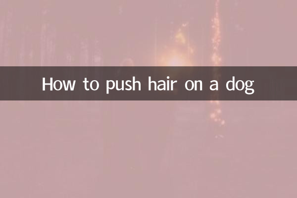 给狗推毛怎么推