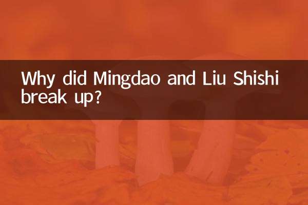 Warum haben sich Mingdao und Liu Shishi getrennt?
