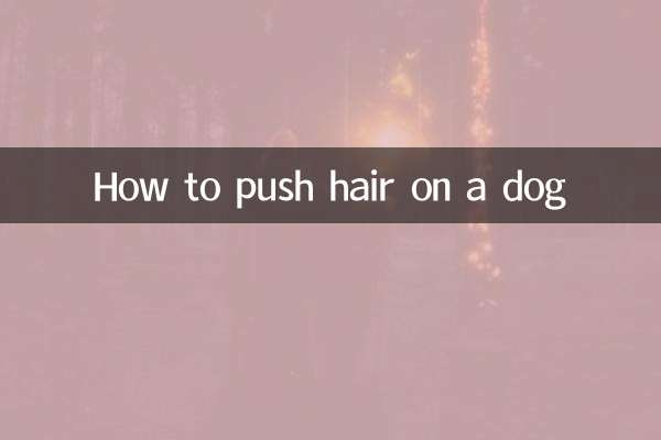 给狗推毛怎么推