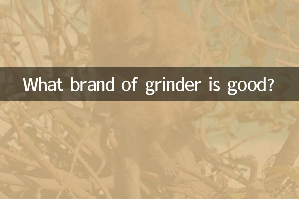 ما هي ماركة المطحنة الجيدة؟