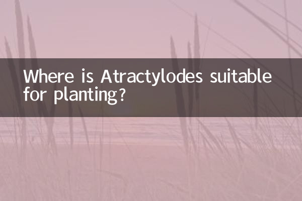 Wo eignet sich Atractylodes zum Pflanzen?