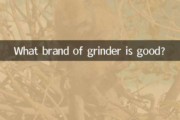 ما هي ماركة المطحنة الجيدة؟