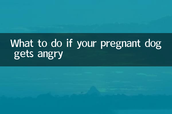 임신한 개가 화를 내면 어떻게 해야 할까요?