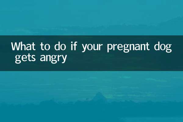 अगर आपका गर्भवती कुत्ता गुस्सा हो जाए तो क्या करें?