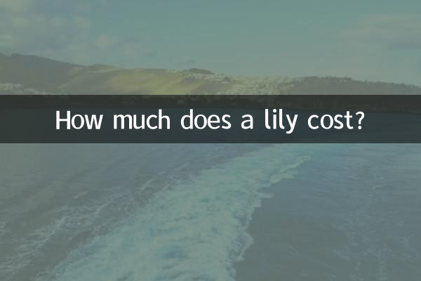 百合多少錢一朵