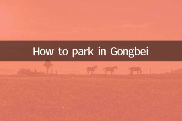 So parken Sie in Gongbei