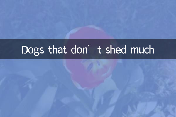 Cani che non perdono molto pelo