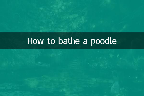 プードルのお風呂の入れ方