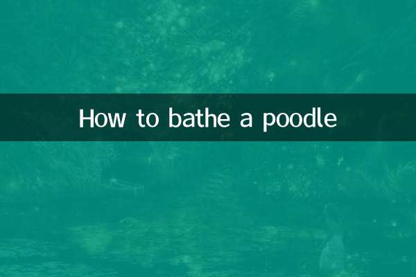 نحوه حمام کردن پودل