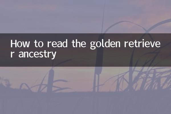 كيفية قراءة سلالة المسترد الذهبي