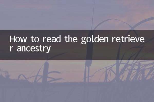 كيفية قراءة سلالة المسترد الذهبي