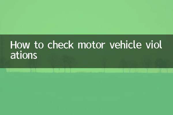 موٹر گاڑیوں کی خلاف ورزیوں کی جانچ کیسے کریں
