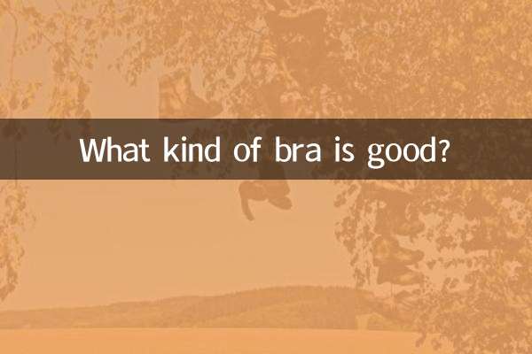 কি ধরনের ব্রা ভালো?