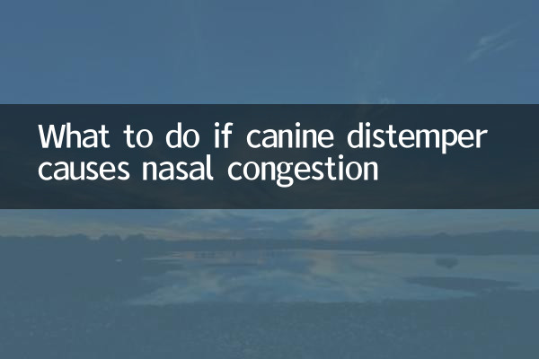 What to do if canine distemper causes nasal congestion