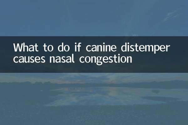 What to do if canine distemper causes nasal congestion