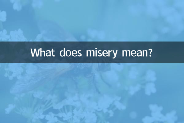 ¿Qué significa miseria?